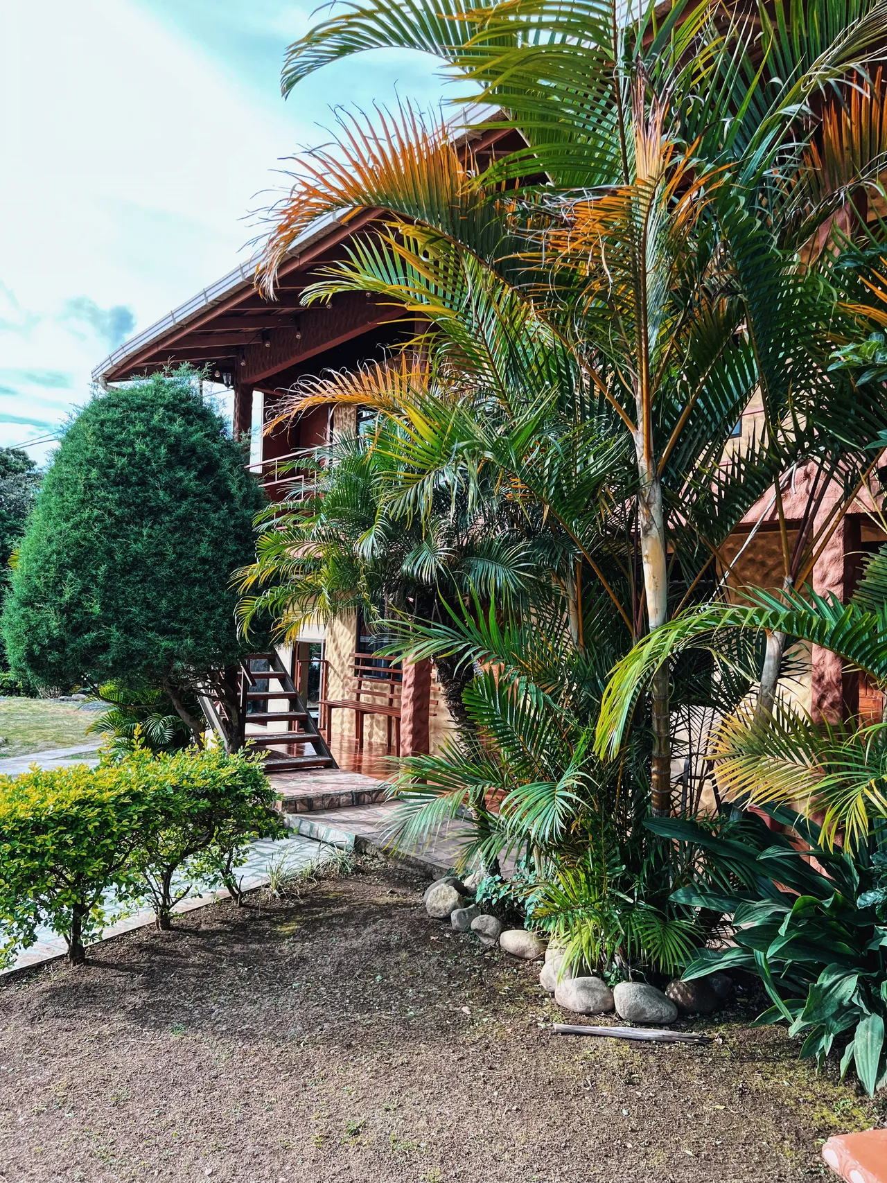Jardín con palmeras junto al edificio del lodge