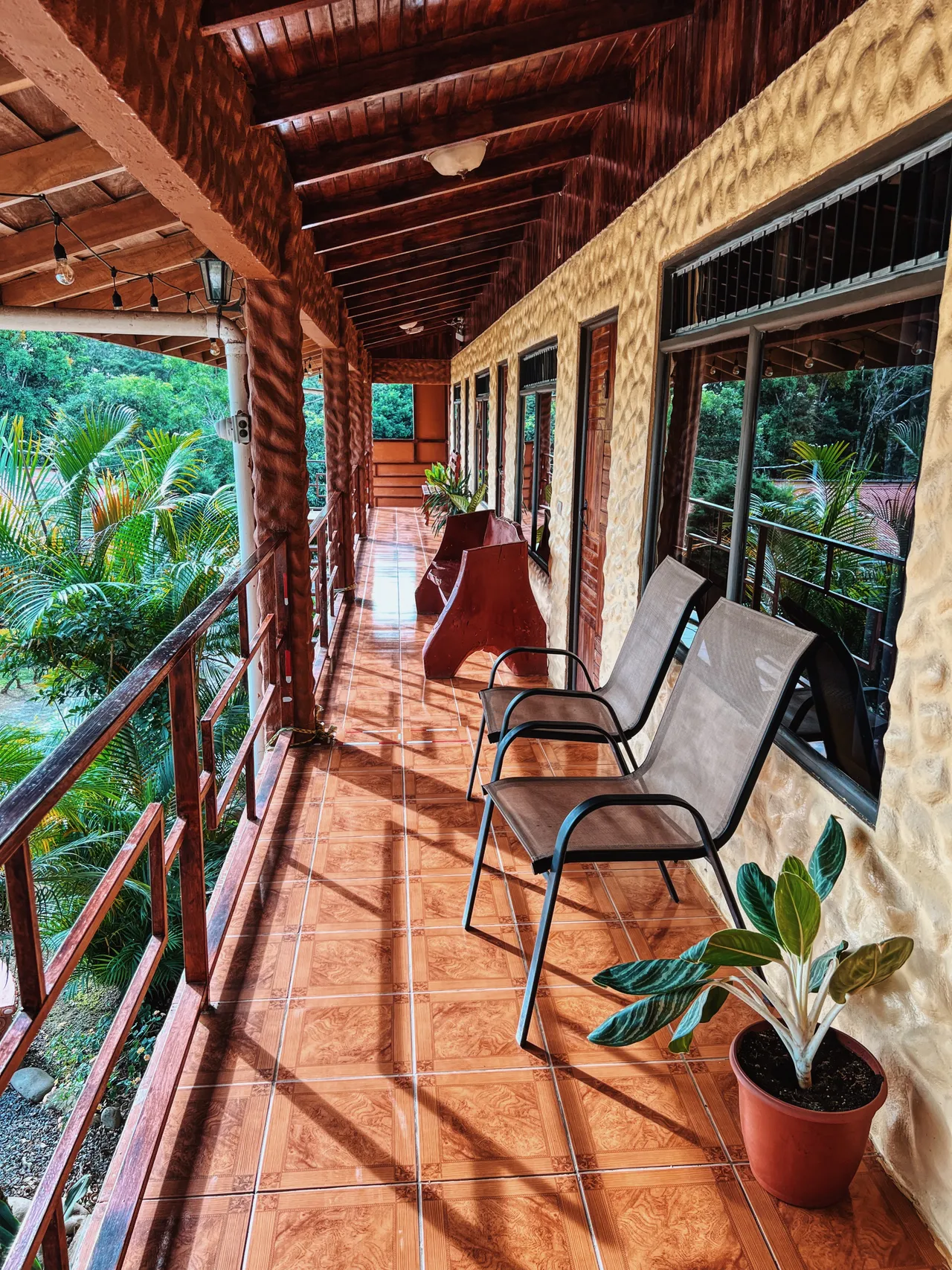 Terraza con sillas y vista al bosque tropical