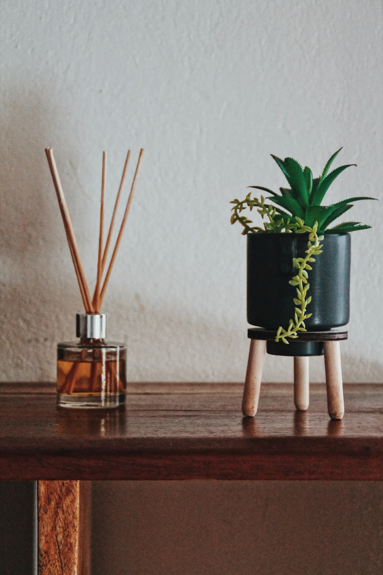 Planta decorativa y difusor de aromas sobre una repisa de madera